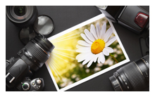 全自动发码的网站攻击软件工具